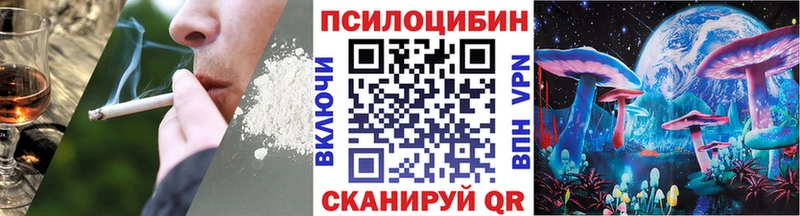 Купить закладки  Хабаровск  Галлюциногенные грибы Psilocybe 